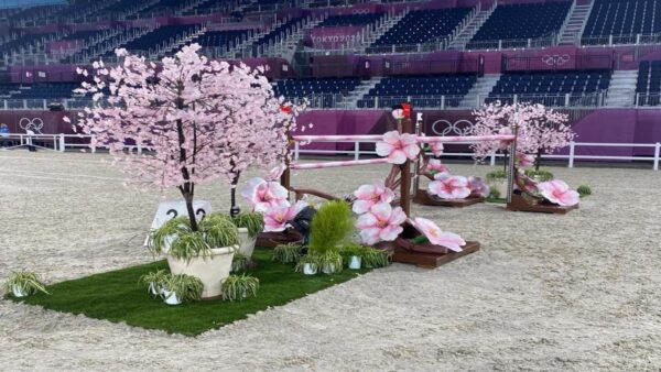 3DLC0177.001 - T20 Cherry Blossoms