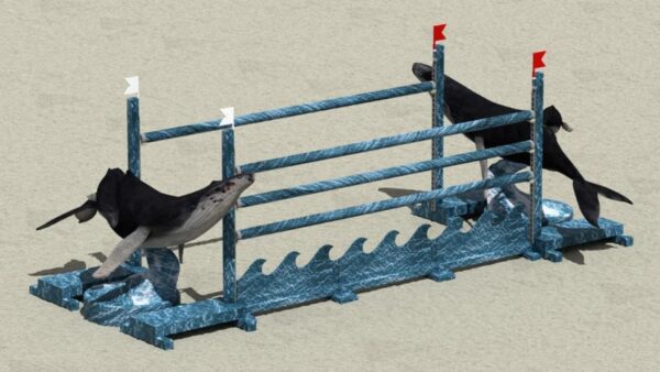 3DLC0166.001 - Wholesome Whales