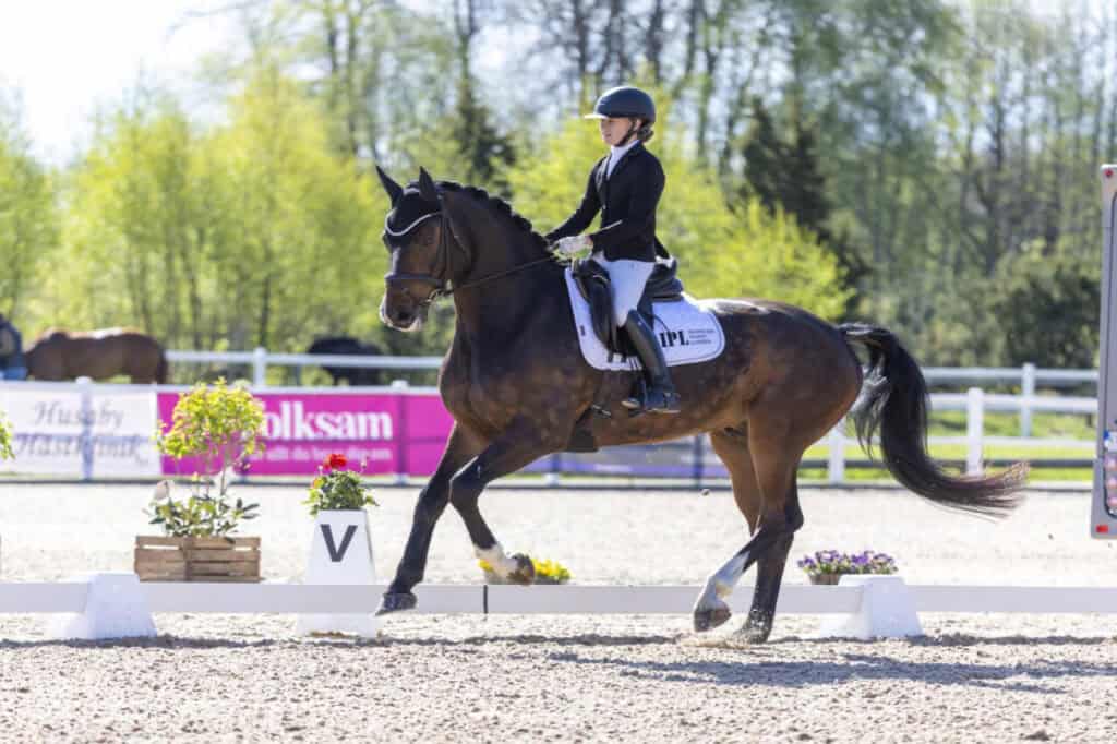 Falsterbo Horse Show
