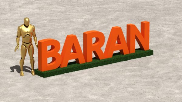 DCL0019.001 - BARAN Letters Decoration (H100cm)