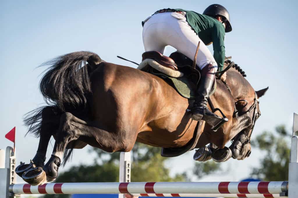 Longines League of Nations™ – Abu Dhabi CSIO5