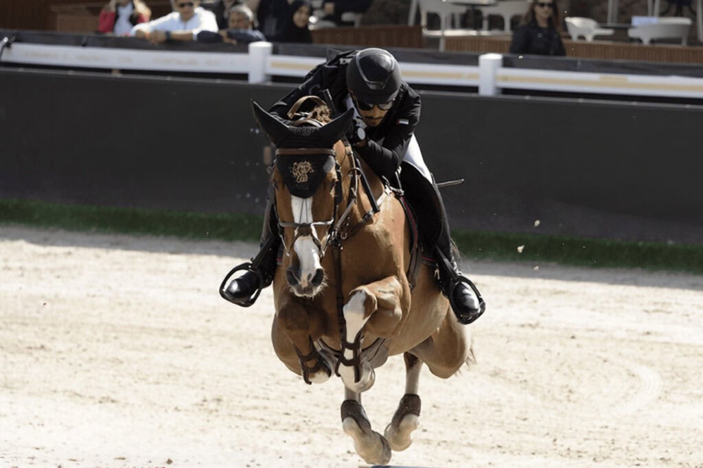 Sheikh Hazza bin Zayed Festival