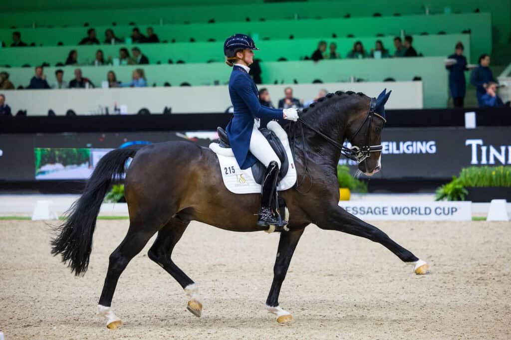 The Dutch Masters - Indoor Brabant Horse Show 2026