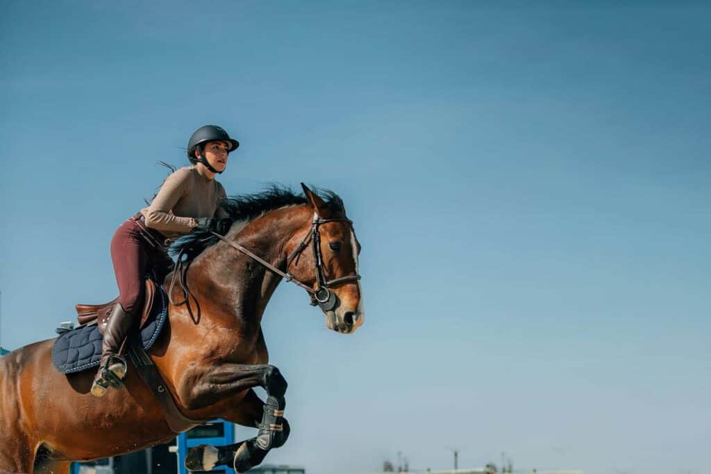 CSI International Jumping Competition – Busto Arsizio