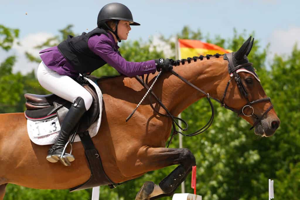 Split Rock Hunter Jumper Classic I