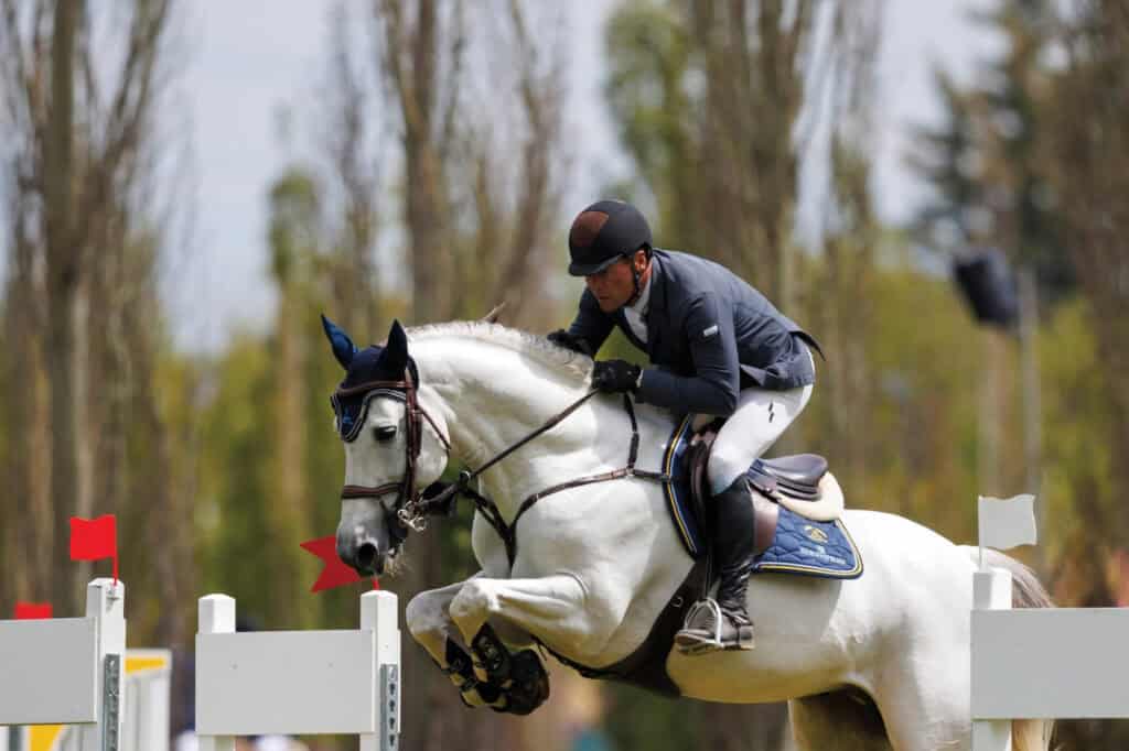Spruce-Meadows